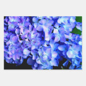 Feuille De Papier Cadeau Élégant bleu violet clair magenta hydrangée floral (Devant 2)