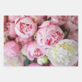 Feuille De Papier Cadeau Élégant Peonies Roses (Devant)
