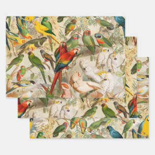 Feuille De Papier Cadeau Élégant Vintage Oiseaux tropicaux Parrots