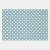 Feuille De Papier Cadeau Elégante aquarelle Boho Cactus & Succulents (Devant 2)