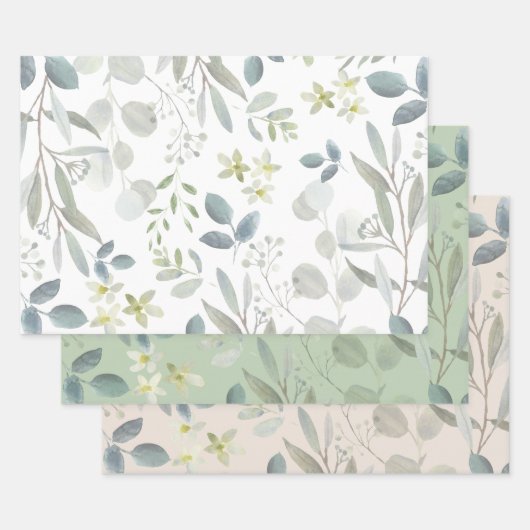 Feuille De Papier Cadeau Elégante aquarelle Botanique Verdure Eucalyptus (Lot)