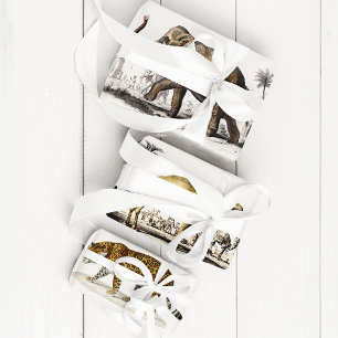 Feuille De Papier Cadeau Eléphant, chameau et léopard de D'Orbigny