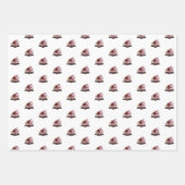 Feuille De Papier Cadeau Elon Phoenix (Devant 3)