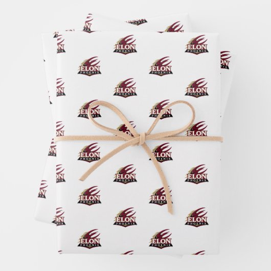 Feuille De Papier Cadeau Elon Phoenix (En situation)