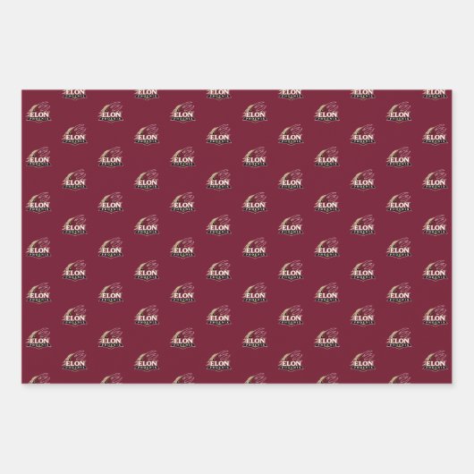 Feuille De Papier Cadeau Elon Phoenix (Devant)