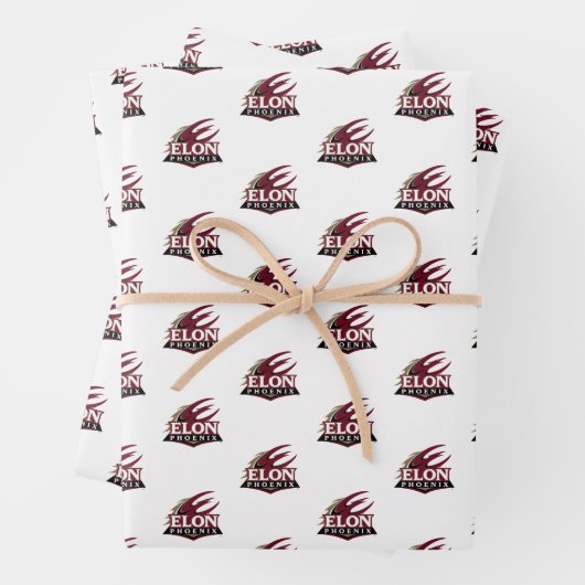 Feuille De Papier Cadeau Elon Phoenix (En situation)