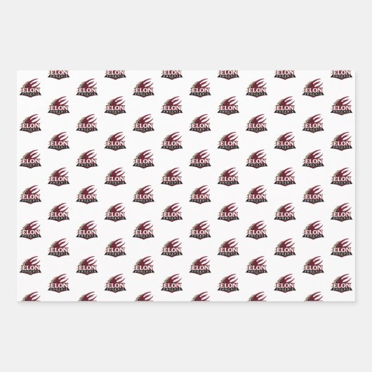 Feuille De Papier Cadeau Elon Phoenix (Devant)