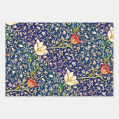 Feuille De Papier Cadeau Emelia, Teasel et Fleuresse (Devant)