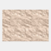 Feuille De Papier Cadeau Empreinte de léopard de Parties scintillant Gold B (Devant 2)