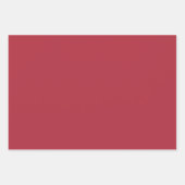 Feuille De Papier Cadeau Empreinte de léopard Red Gold Glam (Devant 2)