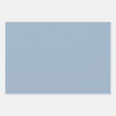 Feuille De Papier Cadeau En vichy bleu mignon et points simple bébé classiq (Devant 2)