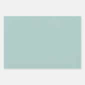 Feuille De Papier Cadeau En vichy turquoise et points simple classique (Devant 2)