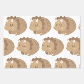 Feuille De Papier Cadeau Enfants Cute Dinosaur (Devant 3)