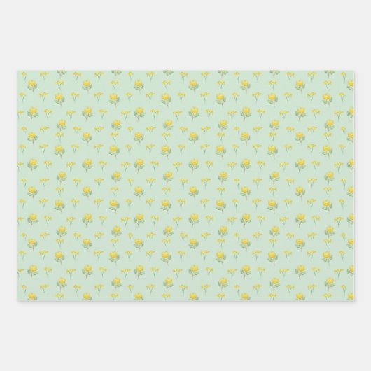 Feuille De Papier Cadeau Ensemble cadeau Marigold & Daisy (Devant)