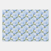 Feuille De Papier Cadeau Ensemble Hydrangea Whimsy Set 3 (Devant)