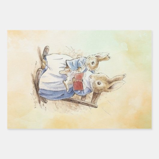 Feuille De Papier Cadeau Ensemble Peter Rabbit (Devant 3)