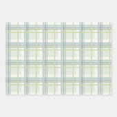 Feuille De Papier Cadeau Enveloppe cadeau de coordination Fleur sauvage alp (Devant 2)