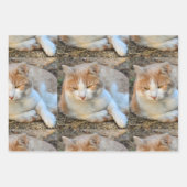 Feuille De Papier Cadeau Enveloppe cadeau photo HAMbyWG (Devant 2)