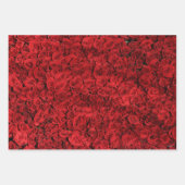 Feuille De Papier Cadeau Enveloppe cadeau Red Roses HAMbyWG (Devant)