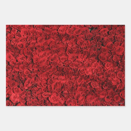 Feuille De Papier Cadeau Enveloppe cadeau Red Roses HAMbyWG (Devant)