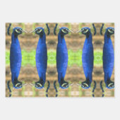 Feuille De Papier Cadeau Enveloppe cadeaux - Images de Peacock (Devant 3)