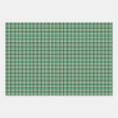 Feuille De Papier Cadeau Envie Verte  (Devant 3)