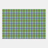 Feuille De Papier Cadeau Envie Verte  (Devant 2)