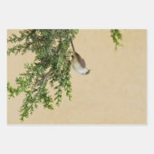 Feuille De Papier Cadeau Épervier (Devant)