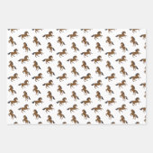 Feuille De Papier Cadeau Équitation (Devant)