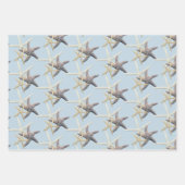 Feuille De Papier Cadeau Etoiles de mer tons bleu (Devant 2)