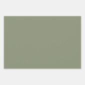 Feuille De Papier Cadeau Étoiles Douces Pâles Alignées (Devant 3)