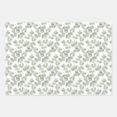 Feuille De Papier Cadeau Eucalyptus Sauvage Sauge Vert Aquarelle (Devant 3)