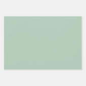 Feuille De Papier Cadeau Eucalyptus vert clair Solide et impression (Devant)