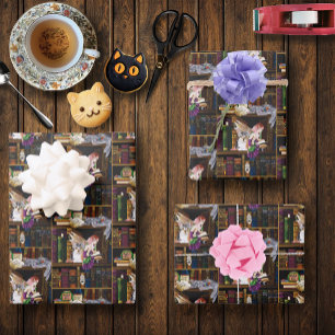 Feuille De Papier Cadeau Fairy Cats Livres Bibliothèque Imaginaire