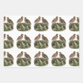 Feuille De Papier Cadeau Famille Bobwhite Quail (Devant)