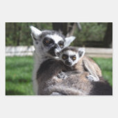 Feuille De Papier Cadeau Famille Lemur Catta (Devant 2)