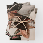 Feuille De Papier Cadeau Faucon à pattes rousses d'Amérique Audubon Imprime (En situation)