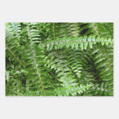 Feuille De Papier Cadeau Fern Fronds I Green Nature (Devant 3)