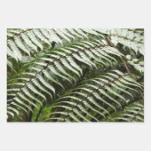 Feuille De Papier Cadeau Fern Fronds II Dark Green Nature (Devant)