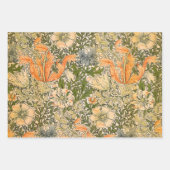 Feuille De Papier Cadeau Festival de fleurs de William Morris Spring Compto (Devant)