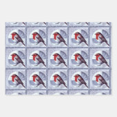 Feuille De Papier Cadeau Festive Robin Christmas Design multipack (Devant)