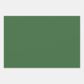 Feuille De Papier Cadeau Fête botanique verte (Devant 3)