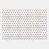 Feuille De Papier Cadeau Fête du jardin (Devant 3)