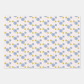 Feuille De Papier Cadeau Fête du jardin (Devant)