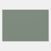 Feuille De Papier Cadeau Fletcher avec solide vert clair (Devant 2)