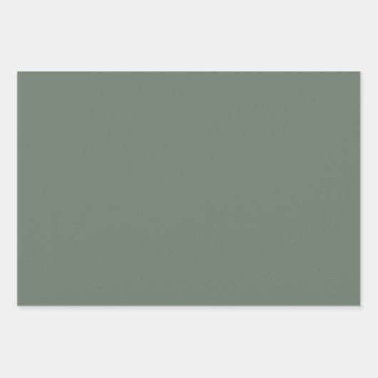 Feuille De Papier Cadeau Fletcher avec solide vert clair (Devant 2)