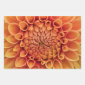 Feuille De Papier Cadeau Fleur Centre Orange Dahlia (Devant 3)