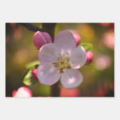 Feuille De Papier Cadeau Fleur d'Apple (Devant 3)