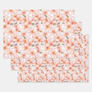 Feuille De Papier Cadeau Fleur de frangipanier Plumeria rose pâle
