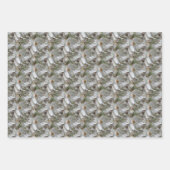 Feuille De Papier Cadeau Fleur de Magnolia Blanche Fleur Nature   (Devant 2)